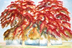 2003-Beukenhoeve