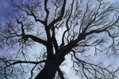 2011-Boom-aquarel
