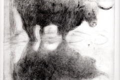 Rund-06