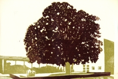 Grafiek