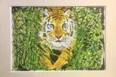 tijger litho (ingekleurd) 2020