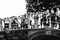 Brug lino 2020