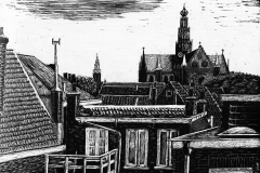 Gezicht-op-Haarlem 2016