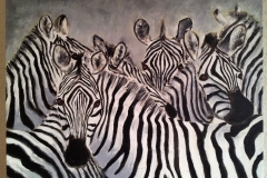 2010-Zebras