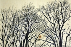 2014-Bomen
