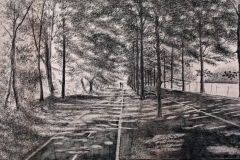 2014-Elswoutlaan-zw