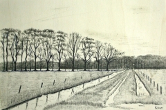 2014-Marcellispad