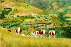 2015-Franse-bergkoeien