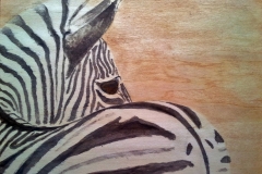 2015-zebra