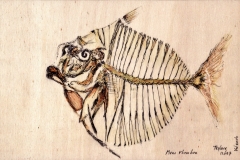 2016 fossiel-Teylers