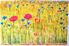 2012-graanveld-viltstift
