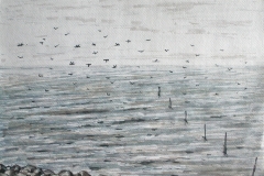 2014-zeegezicht